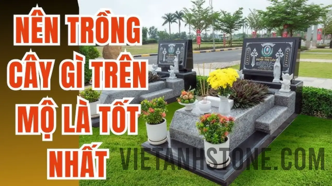 Trồng cây gì trên mộ là tốt nhất